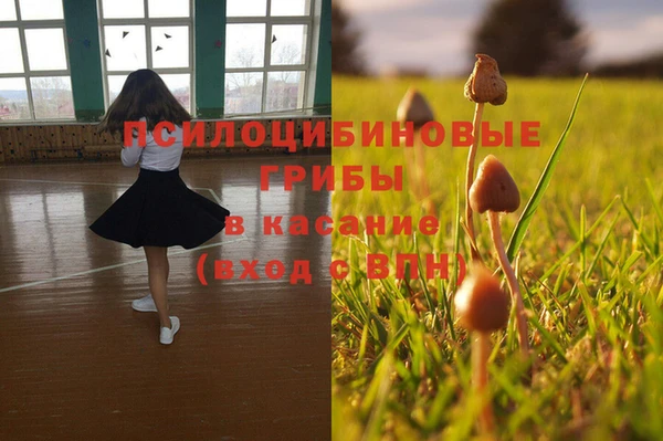 мет Верея