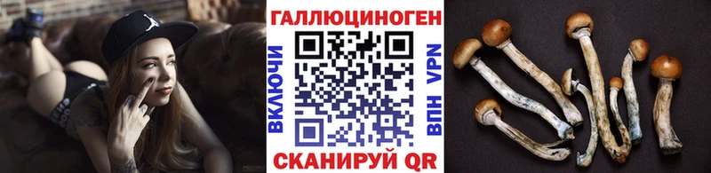 Галлюциногенные грибы MAGIC MUSHROOMS  Ипатово 